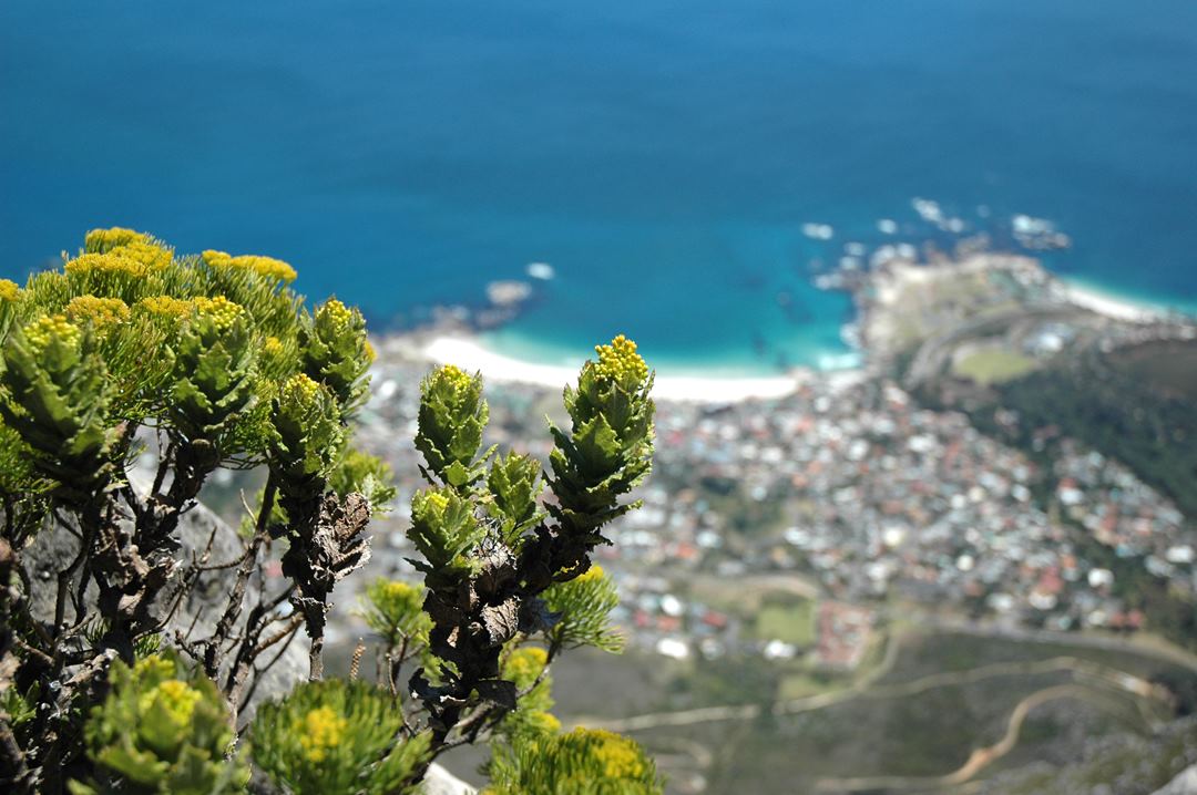 109   Capetown, RPA